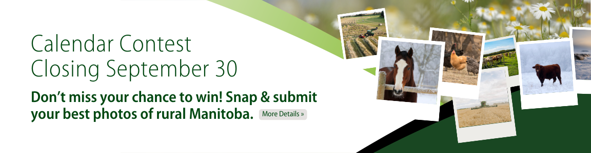 2026 Calendar Photo Contest