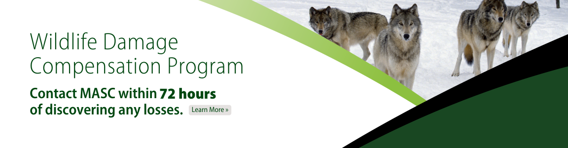 Wildlife Damage Compensation