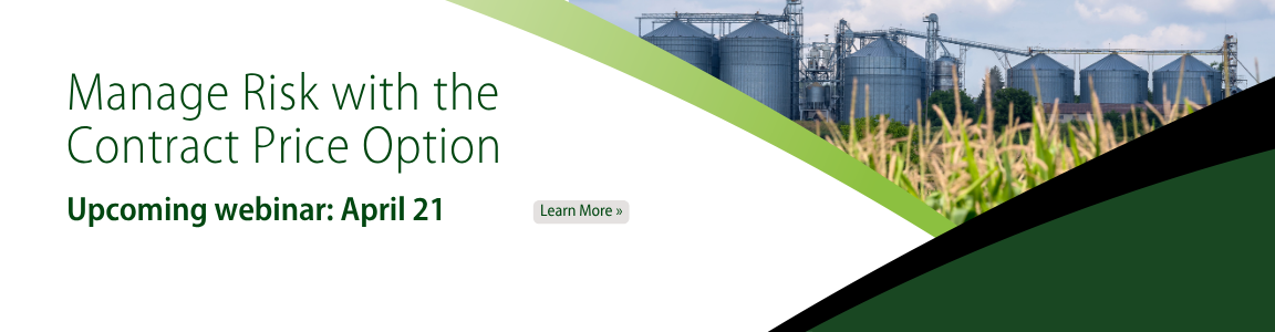 Contract Price Option