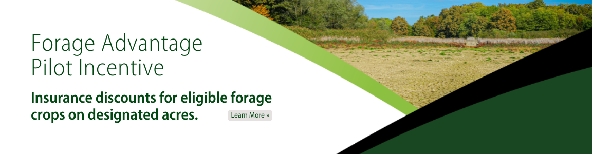 Forage Advantage