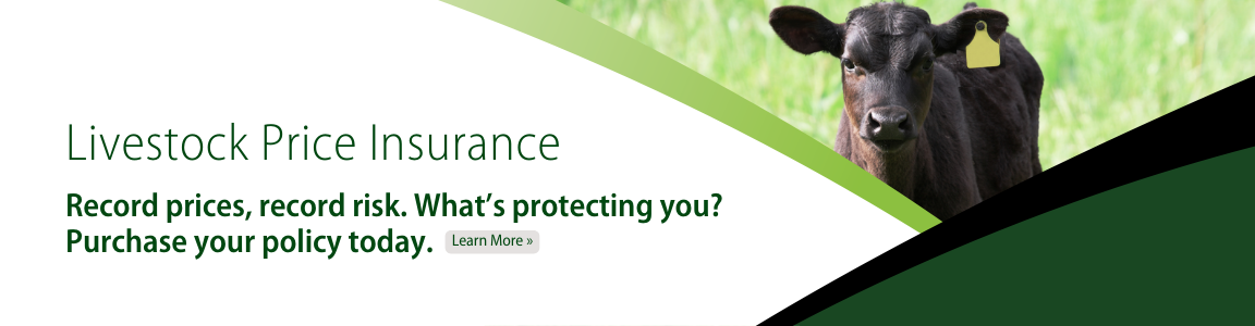 Livestock Price Insurance