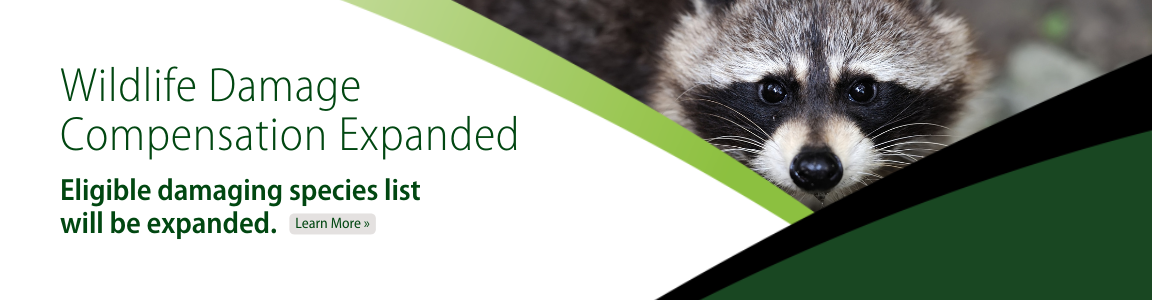 Wildlife Damage Compensation
