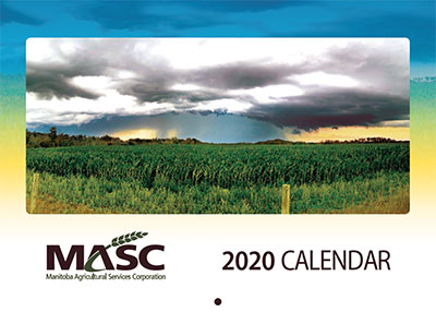 2020 MASC calendar