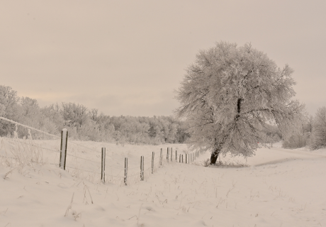 Photograph selected for January 2026