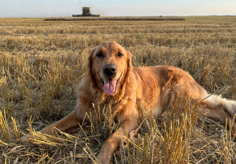 Photograph selected for October 2026