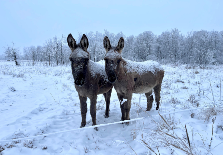 Photograph selected for February 2026