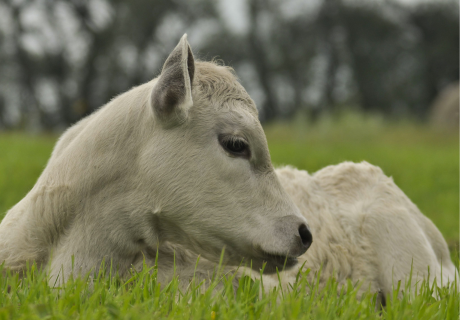Photograph selected for April 2026