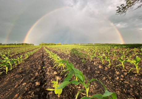 Photograph selected for June 2026