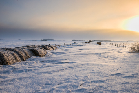Photograph selected for January 2025