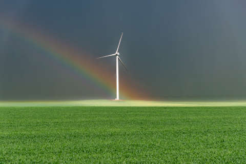 Photograph selected for July 2025