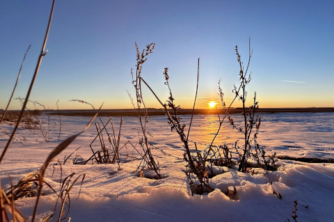 Photograph selected for March 2025