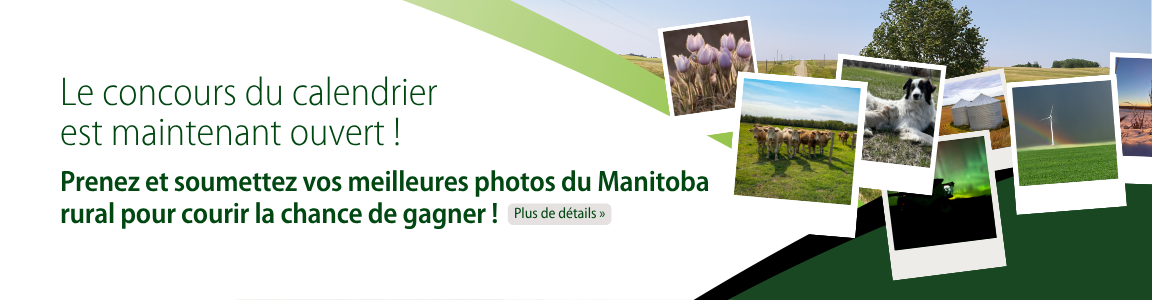 Concours photo du calendrier 2025