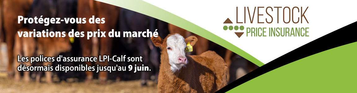 LPI-Calf