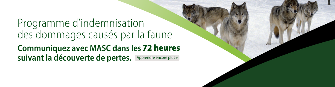 Indemnisation des dommages causés par la faune