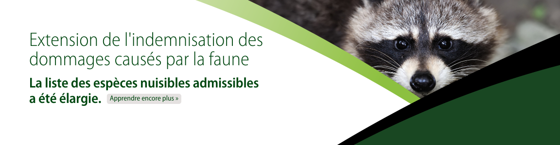 Indemnisation des dommages causés par la faune